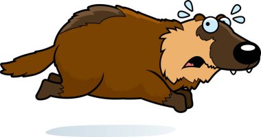 Kaçmak bir wolverine çizgi film gösterimi.