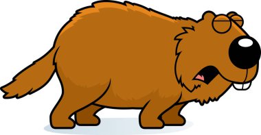 İnleyen bir dağ sıçanı çizgi film gösterimi.