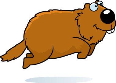 Atlama dağ sıçanı çizgi film gösterimi.