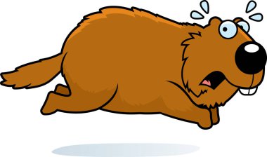 Kaçıp dağ sıçanı çizgi film gösterimi.