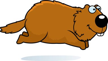 Gülümseyen ve çalışan bir dağ sıçanı çizgi film gösterimi.