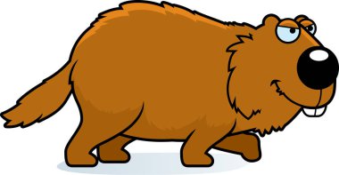 Bir dağ sıçanı takip bir karikatür örnek.