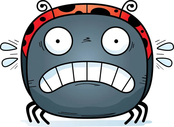 Cartoon Illustration Ladybug Looking Scared — Stock Vector