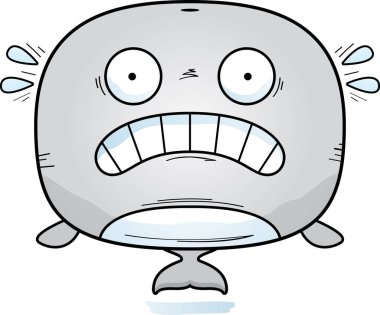 Bir balina korkmuş seyir çizgi film gösterimi.