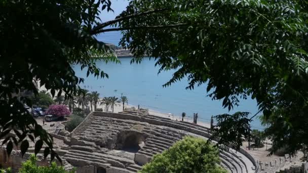 Древний амфитеатр в Таррагоне — стоковое видео