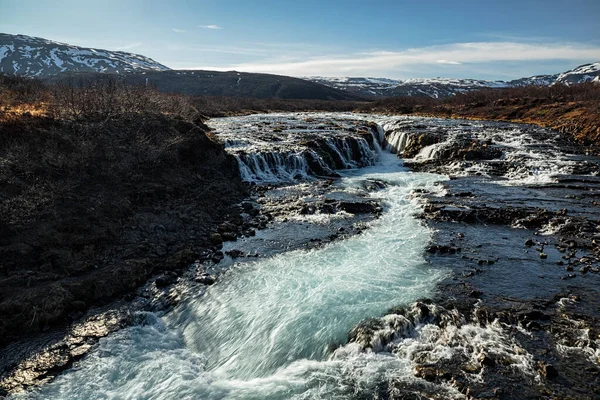 아이슬란드의 브루어 — 스톡 사진