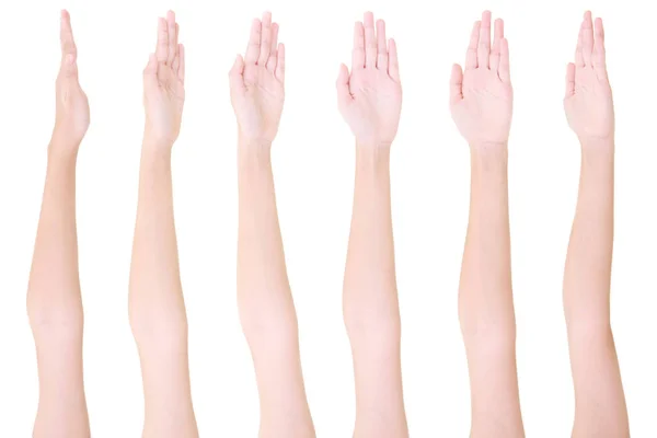 Несколько Жестов Руки Девушки Изолированы Белом Фоне Набор Нескольких Изображений — стоковое фото
