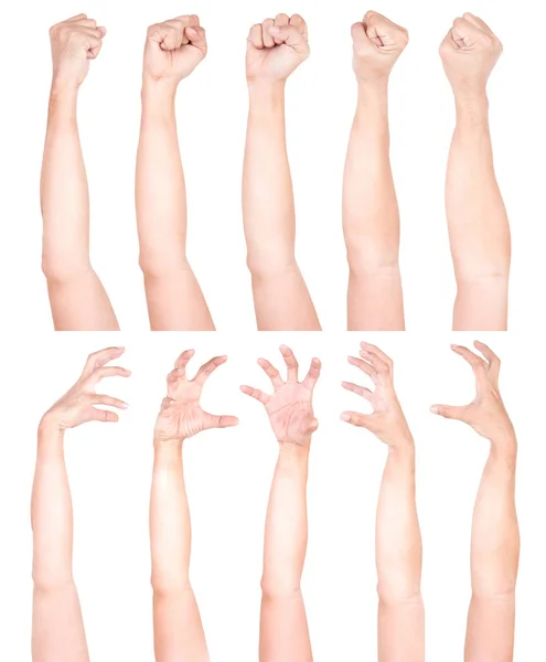 Múltiplos Gestos Mãos Caucasianas Masculinas Isoladas Sobre Fundo Branco Conjunto — Fotografia de Stock