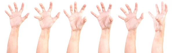 Múltiplos Gestos Mãos Caucasianas Masculinas Isolados Sobre Fundo Branco Conjunto — Fotografia de Stock