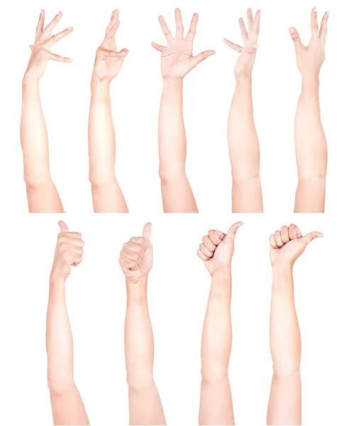 Multiple Male Caucasian Hand Gestures Isolated White Background Set Multiple — Stock Photo, Image