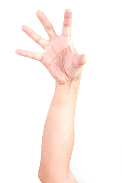 Mão Branca Masculina Gestos Isolados Sobre Fundo Branco Conjunto Várias — Fotografia de Stock