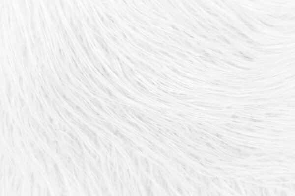 Фон из натурального меха. Животное Волосы Фон. Black and W
