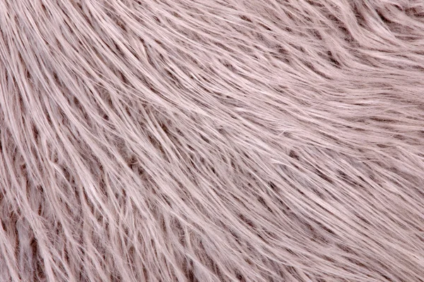 Contexto de pele natural. Fundo de cabelo animal. Preto e W — Fotografia de Stock