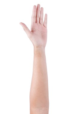 Beyaz arka planda izole edilmiş Asyalı erkek el hareketleri. 