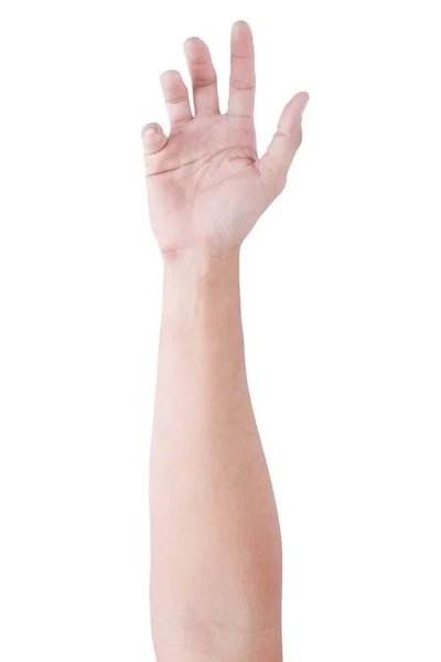 Männliche Asiatische Handgesten Isoliert Über Dem Weißen Hintergrund Soft Grab — Stockfoto