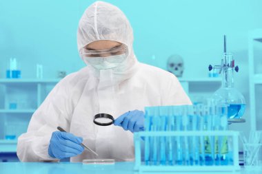 PPE Suit 'te erkek bilim adamı. Laboratuvarda çalışırken aynı zamanda büyüteç kullanarak örnek kalıbı kontrol ediyor. Mavi Ton. SARS-CoV-2, Covid-19 Teması.
