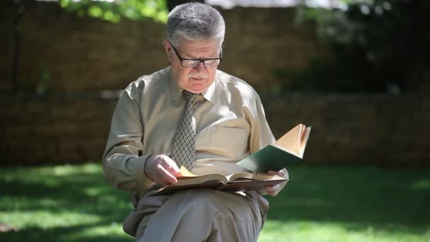 Curieux Journaliste Âgé Assis Lit Deux Livres Dans Parc Été — Video