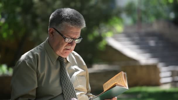 专业老人坐在一个传统的楼梯上阅读一本书 一个明亮的老人坐在栏杆上 并阅读一本书 在他身后的一个石质楼梯在一个城市公园夏天 — 图库视频影像