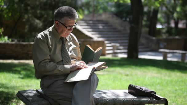 てきぱきと老人が座っているし 公園のベンチに座って 夏の緑豊かな公園で彼の背中の後ろに伝統的な階段で本を読んで明るい高齢男のプロファイルで歴史的な階段で本を読む — ストック動画