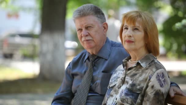 Alegre Pareja Ancianos Sentarse Banco Hablar Felizmente Callejón Verano Retrato — Vídeo de stock