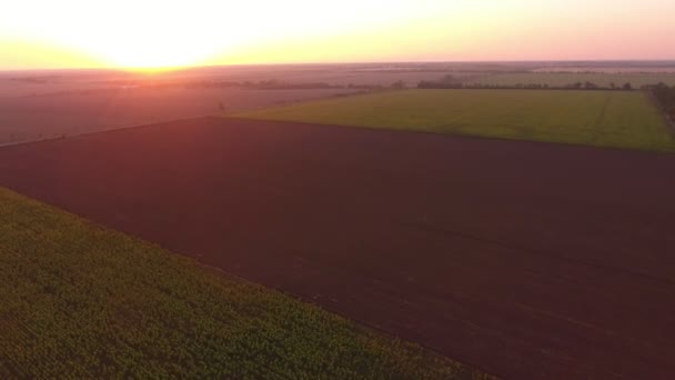 夏に見事な夕日で輝く光の下でいくつかの茶色と緑のフィールドの夏の美しい鳥の目のビューでサンセットにウクライナで色とりどりの農業フィールドの空中ショット — ストック動画