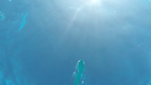年轻女子游泳前爬行被射击从水下慢动作一个令人印象深刻的向下向上观看黑色比基尼泳装女子游泳自由式泳池中的天空蓝水在阳光下斯洛伐克 — 图库视频影像