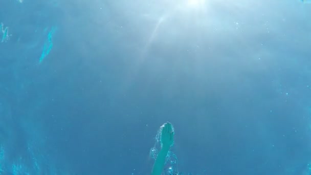 Young Woman Swimming Front Crawl Being Shot Underwater Slow Motion — Stock Video