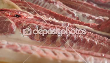 Birkaç büyük domuz organları kemikler ve ayak ile bir kasaplık tablolarda makro görünümü geniş bir kasaplık uzun tablolarda yatan kalça başından vurularak Çiğ domuz organlarının yalan. Bu lezzetli ve taze görünüyor.