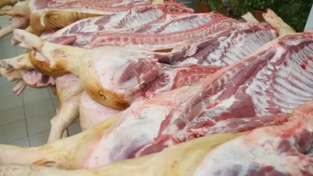 One Line Swine Carcasses Heavy Backbones Lie Long Tables Butchery — Stock Video