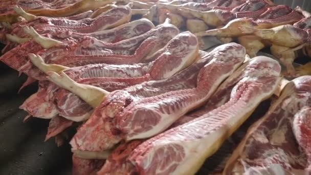 Centenas Corpos Porcos Crus Com Costelas Banha Estão Mesas Açougue — Vídeo de Stock