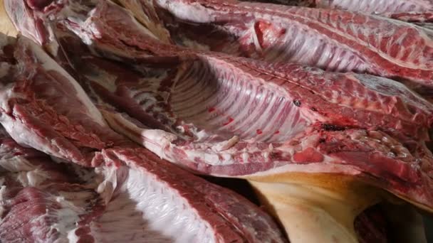 Lot Big Hog Bodies Ribs Legs Lie Tables Butchery Sanguinary — Stock Video
