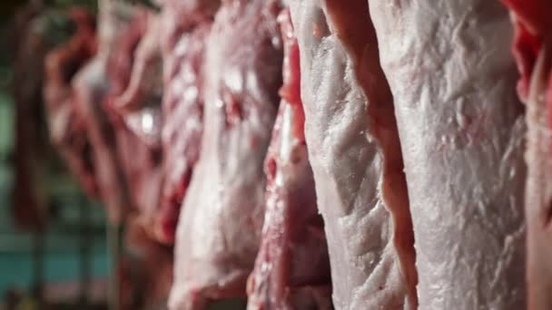 Listras Carne Crua Porco Vitela Carne Bovina Penduradas Dentro Grande — Vídeo de Stock