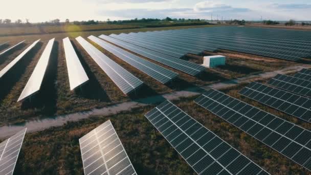Aerial Shot Solar Power Station Way Sparkling Sunset Beautiful Bird — Stock Video