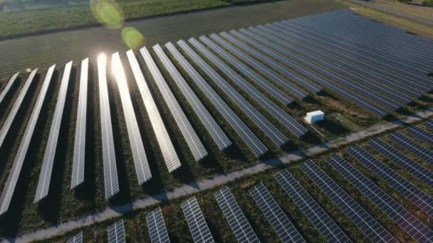 Κεραία Βολή Της Solar Power Station Ευθείες Σειρές Ηλιακών Συλλεκτών — Αρχείο Βίντεο