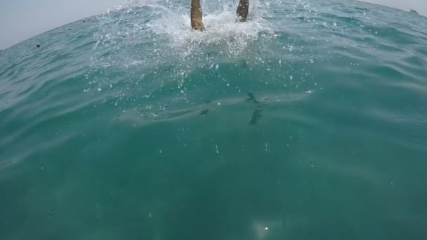 Vrolijke Man Springen Hoofd Eerst Blauwe Zee Wateren Van Een — Stockvideo