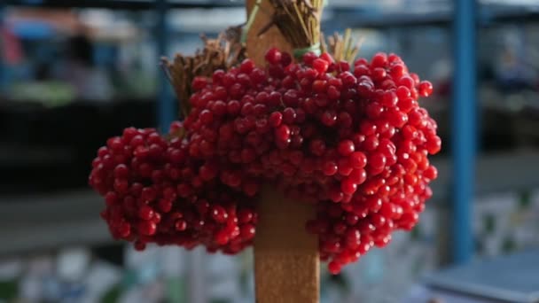 秋の見事なマクロ ショットで結ばれる輝く赤いガマズミの果実の房し 秋に屋外野菜市場で縦の棒に固定の屋外市場で新鮮な赤いガマズミ属の木の束がポールに拘束 — ストック動画