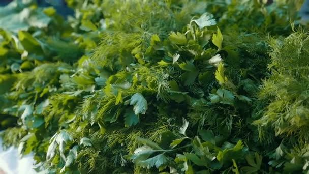 Grüne Zweige Von Dill Und Petersilie Trauben Freien Auf Einem — Stockvideo