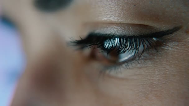 Occhio Femminile Marrone Attento Con Lunghe Ciglia Che Guardano Lavorano — Video Stock