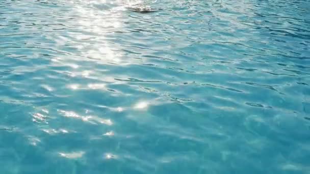 Underbara Havet Ytbehandlar Med Porlande Vågor Och Sun Sökväg Glittrande — Stockvideo