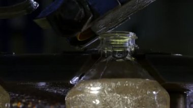 Bir taşıyıcı yağ ayçiçek yağı şişe sarı kapaklar koyarak robot portre ayçiçek yağı şişeleri ayçiçek yağı üretim tesislerinde modern konveyör geçiş yapan sarı plastik kapaklar yerleştirerek bir çelik robotun bitki