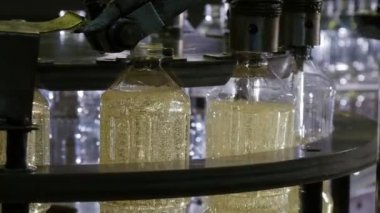 Ayçiçek yağı şişe Konveyör hatları cheeery siyah zemin döşeme. Güzel closeup ayçiçek yağı yağı üreten fabrika Zincirleme makara satırında sürme arıyorum Amber plastik şişe.