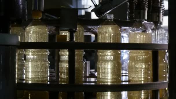 스프링클러를 위아래로 플라스틱 작성의 컨베이어 촬영에 해바라기 기름을 노즐의 해바라기 — 비디오