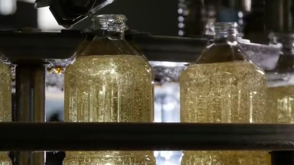 许多金属喷嘴在空瓶中浇注向日葵油 在传送带上对许多球状金属喷嘴上下跳跃 并在向日葵油生产厂的传送带上填充塑料瓶 — 图库视频影像