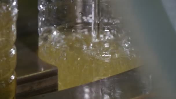 Olej Wypełnia Puste Butelki Zakładzie Produkcji Butelkowanie Oleju Słonecznikowego Niesamowite — Wideo stockowe