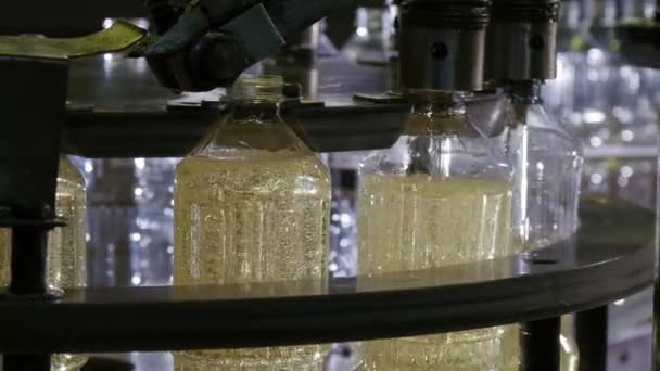 Botellas Aceite Girasol Desplazándose Líneas Transportadoras Alegre Fondo Negro Precioso — Vídeos de Stock