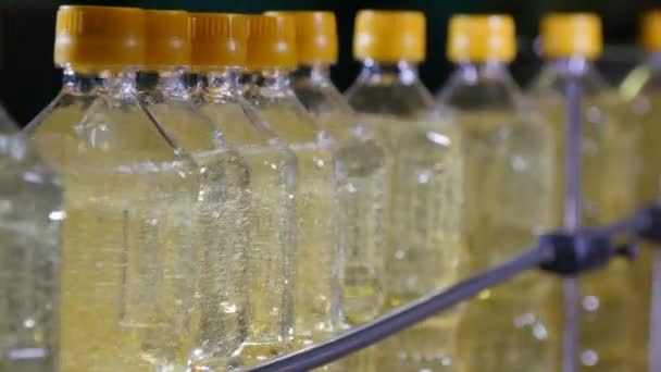 Aceite Girasol Embotellado Movng Banda Transportadora Alegre Fondo Negro Maravillosa — Vídeos de Stock