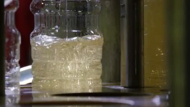 油倒在瓶子在工厂生产和装瓶的向日葵油 液体向日葵油流入塑料瓶的令人印象深刻的观点 这些塑料瓶在现代化工厂的输送机上流动 用于生产石油 — 图库视频影像