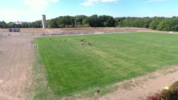 Tiro Aéreo Grande Campo Futebol Gramado Askania Nova Verão Vista — Vídeo de Stock