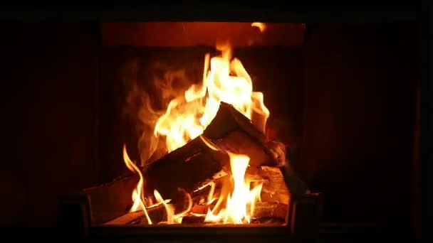 Temperamentvolle Gabeln Aus Gelbem Feuer Bedecken Holzstämme Einem Heißen Kamin — Stockvideo