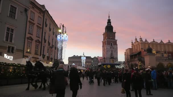 波兰克拉科夫 2018年12月12日 装饰好的马在克拉科夫一个历史悠久的广场上 在一个有教堂的历史广场上 在移动的人们之间拉着一辆传统的大车 — 图库视频影像